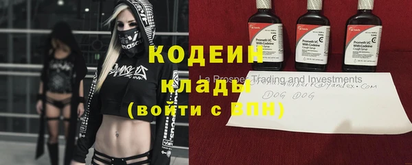 соль ск Арсеньев