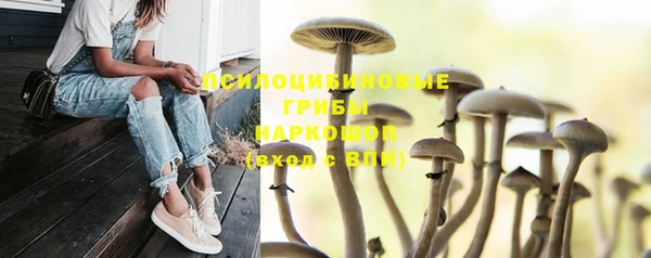 прущая мука Беломорск