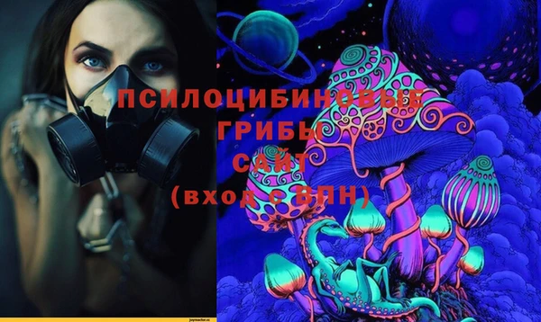 spice Козельск
