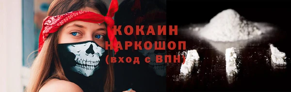 соль ск Арсеньев