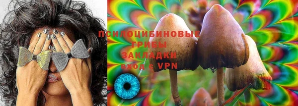 ешки Белокуриха