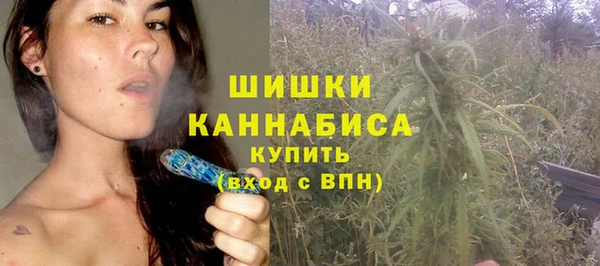 соль ск Арсеньев