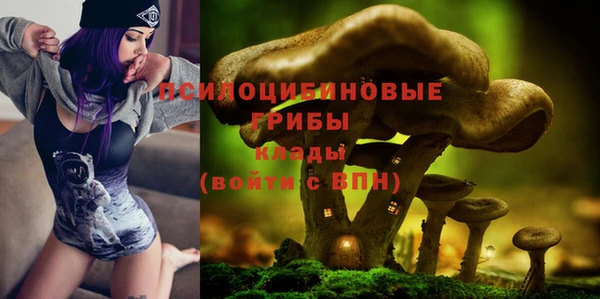 дмт Аркадак