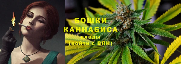 ешки Белокуриха