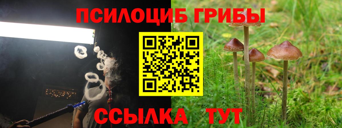 Верхняя Салда  Псилоцибиновые грибы GOLDEN TEACHER  Вход с VPN 